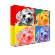 Photo Canvas Print 20x16 Inch